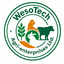 WesoTech Logo